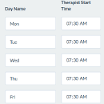 Editor Therapist Schedule